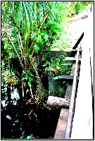 Plonsen - nr. 0201